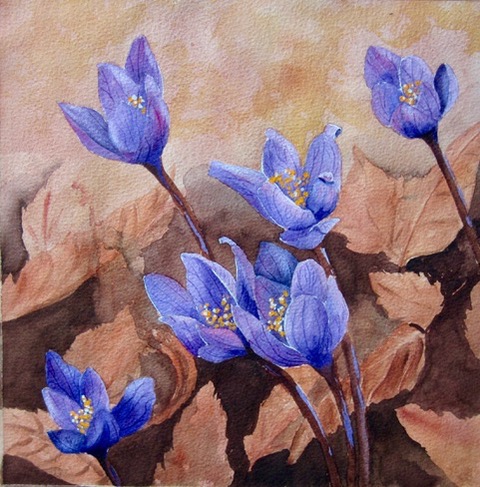 Autumn Crocuses