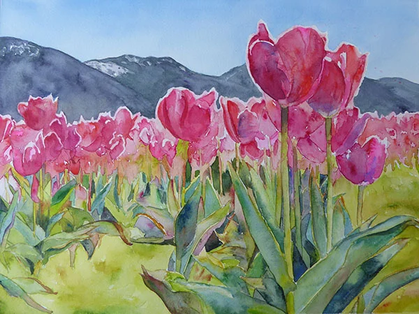 Tulips