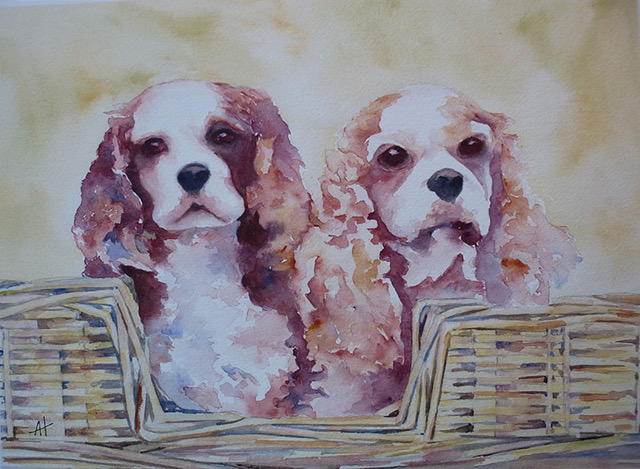 Spaniels