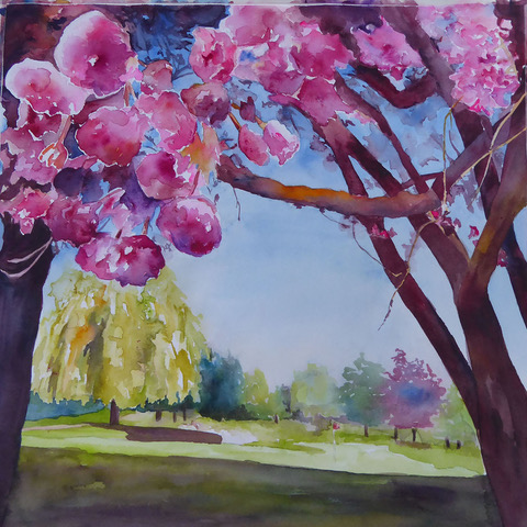 Cherry Blossoms 16th hole Beach Grove Golf Club