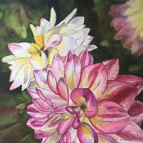 Dahlias