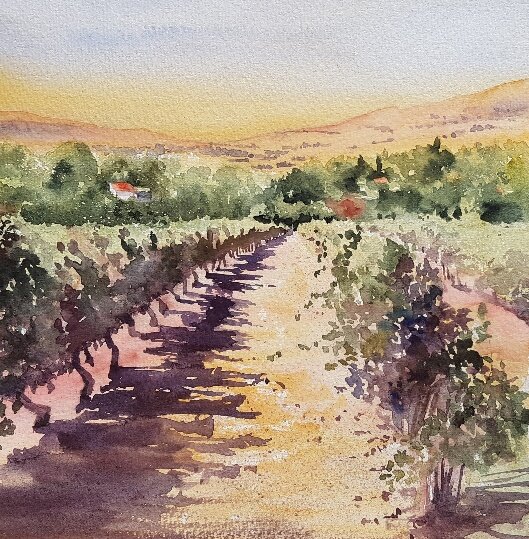 Vineyard