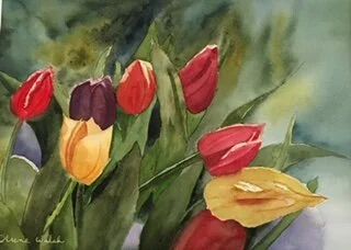 TULIPS  