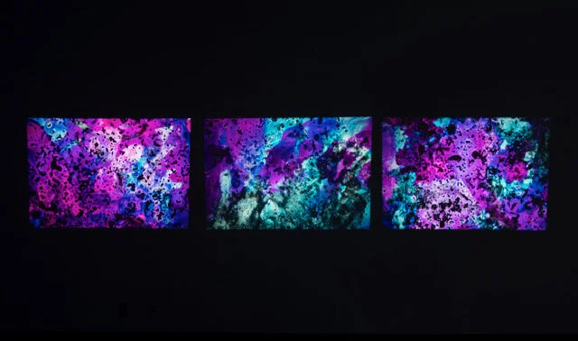 Emily Carr 2019-2020 scholarship winner -Brittany Appleby 