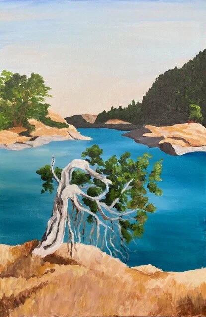 Old Juniper - Jedediah Island