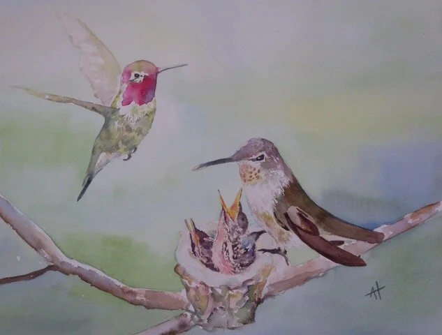 Hummingbirds! 