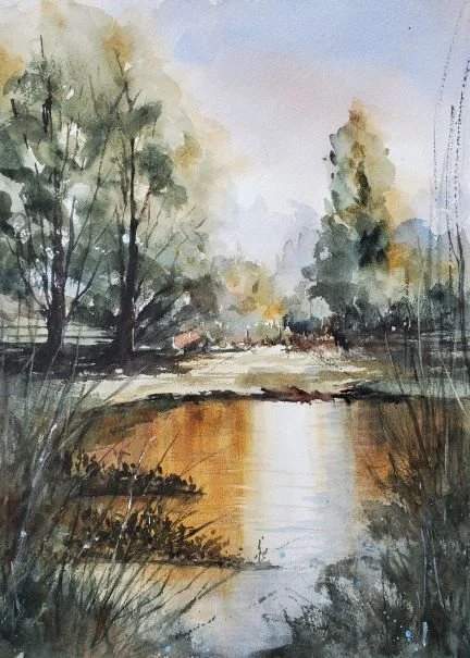 Jericho Park - Summer