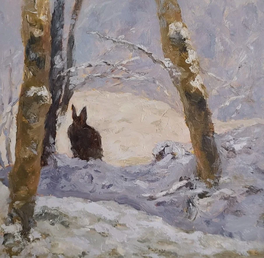 Where the Bunnies Live