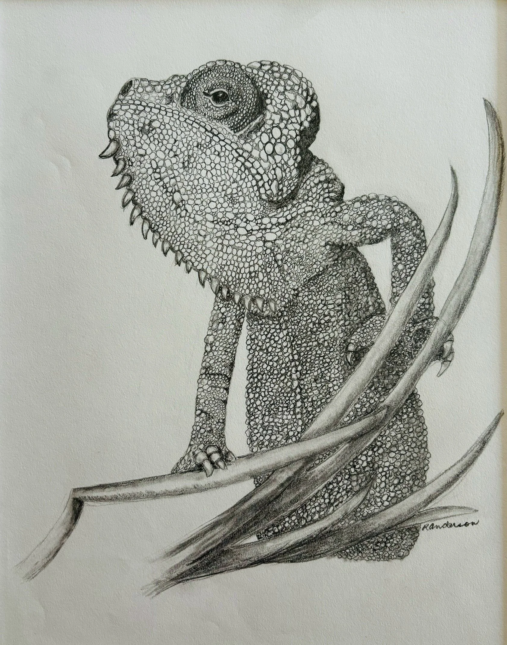 Is that a Bug?  Graphite (Unframed), 9 x 11 inches