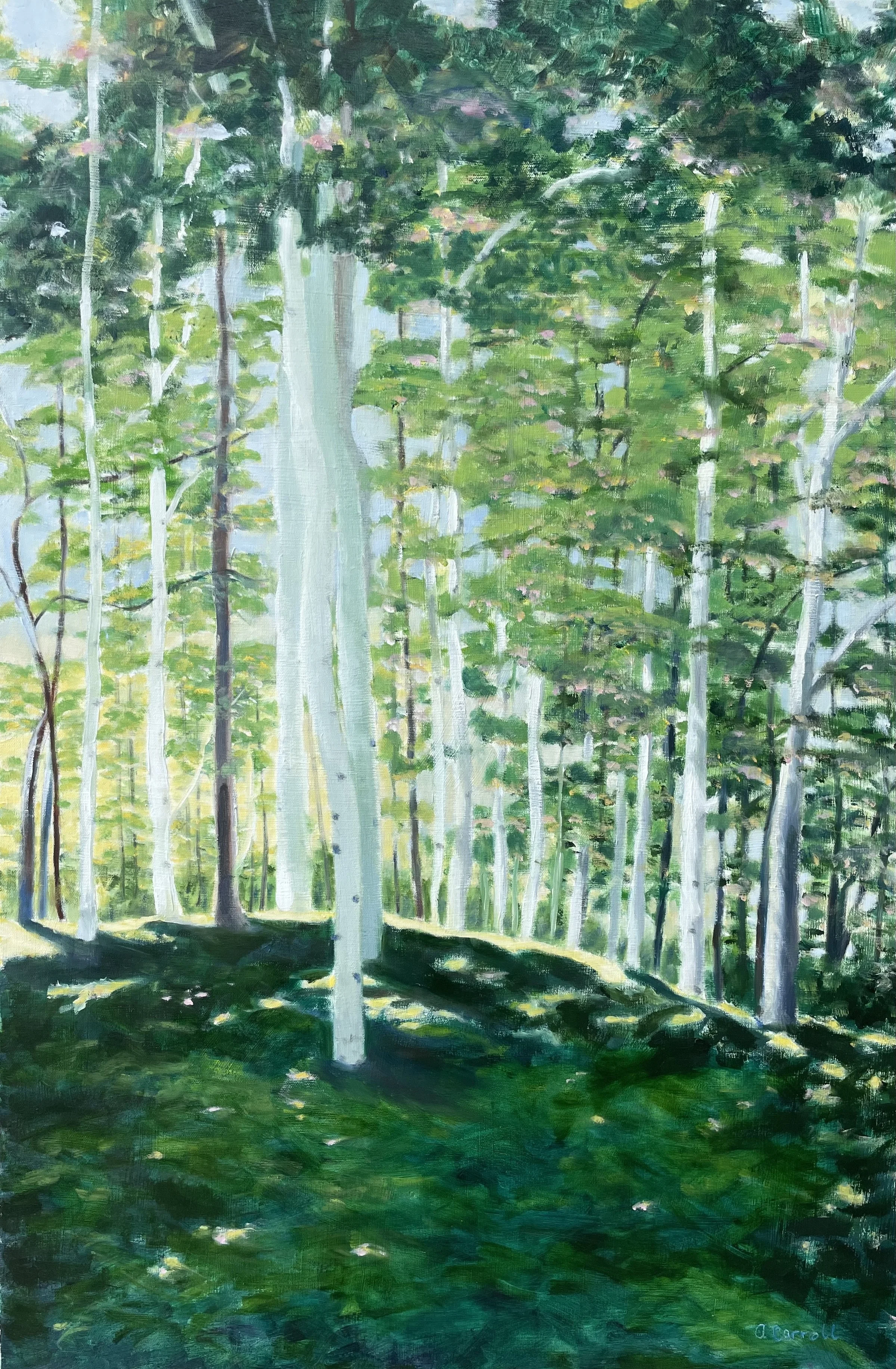 Morning Light