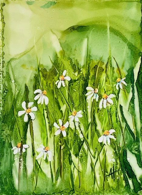 Field of Daisies