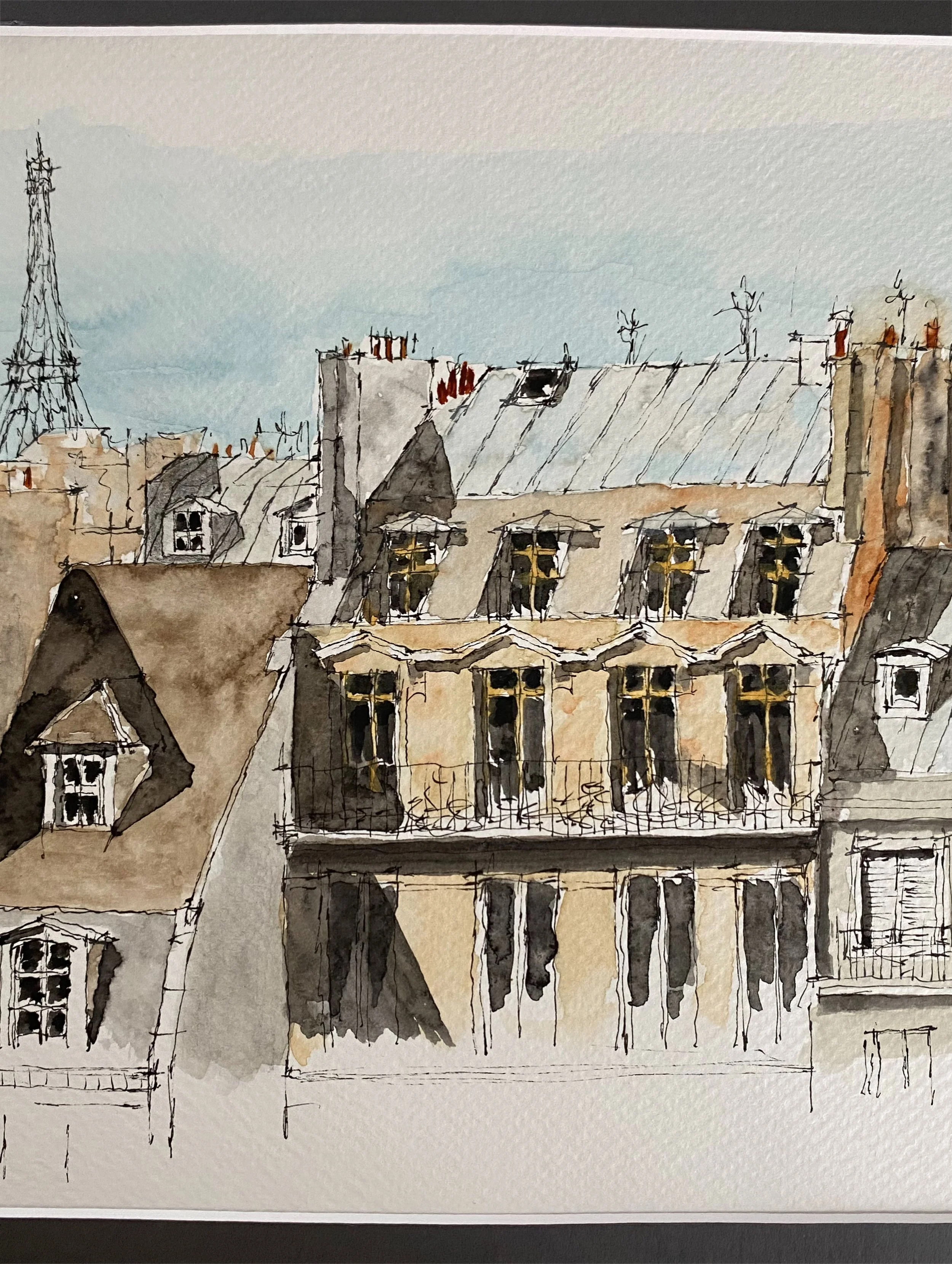 PARIS ROOFTOPS