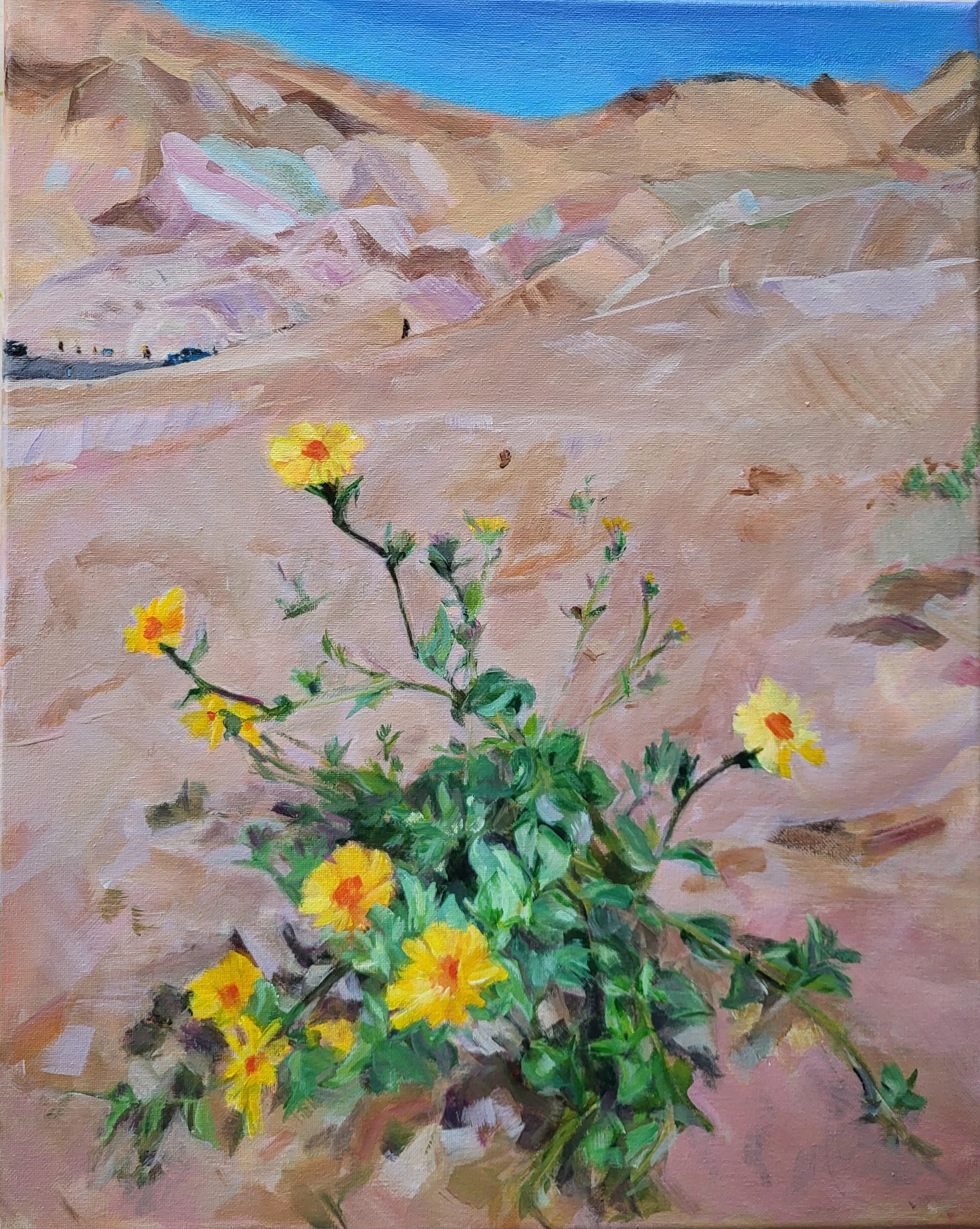 Desert Gold in Death Valley