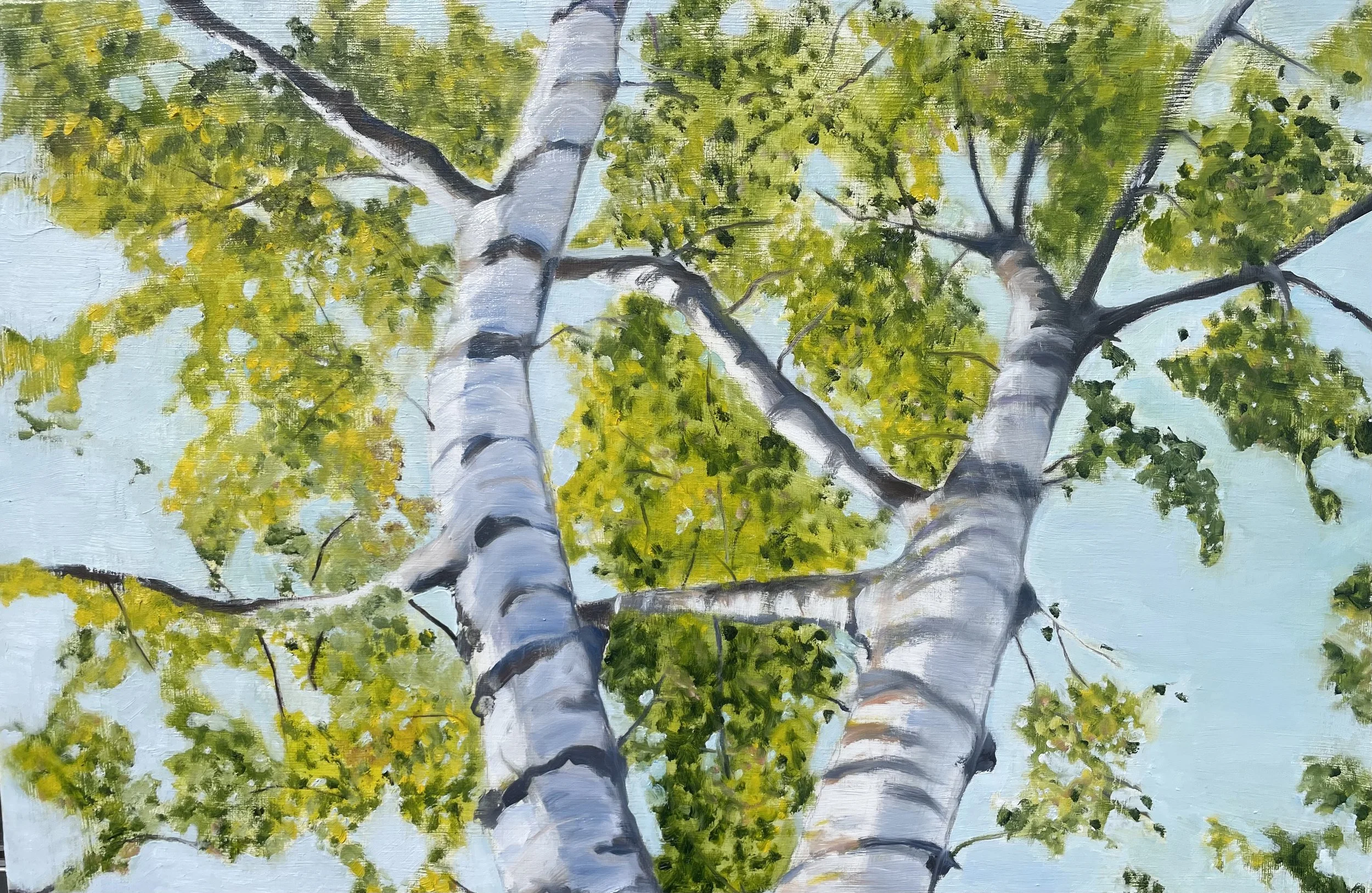 Up to the sky