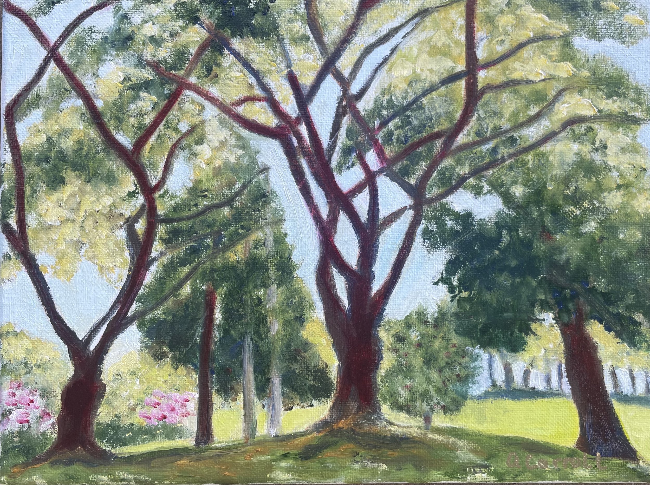 Tree View