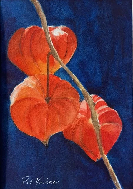  Chinese Lanterns 