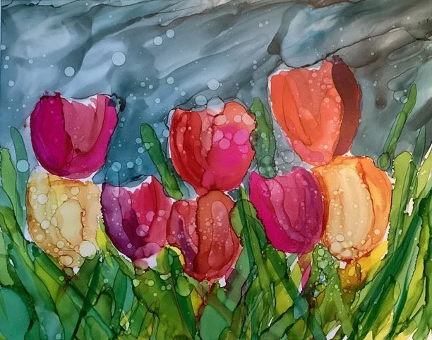 Beautiful Tulips