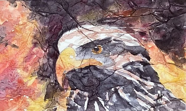The Majestic Eagle