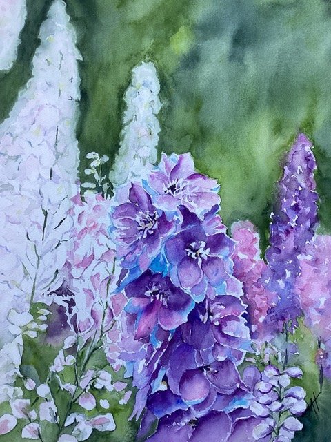 Delphinium Beauty!