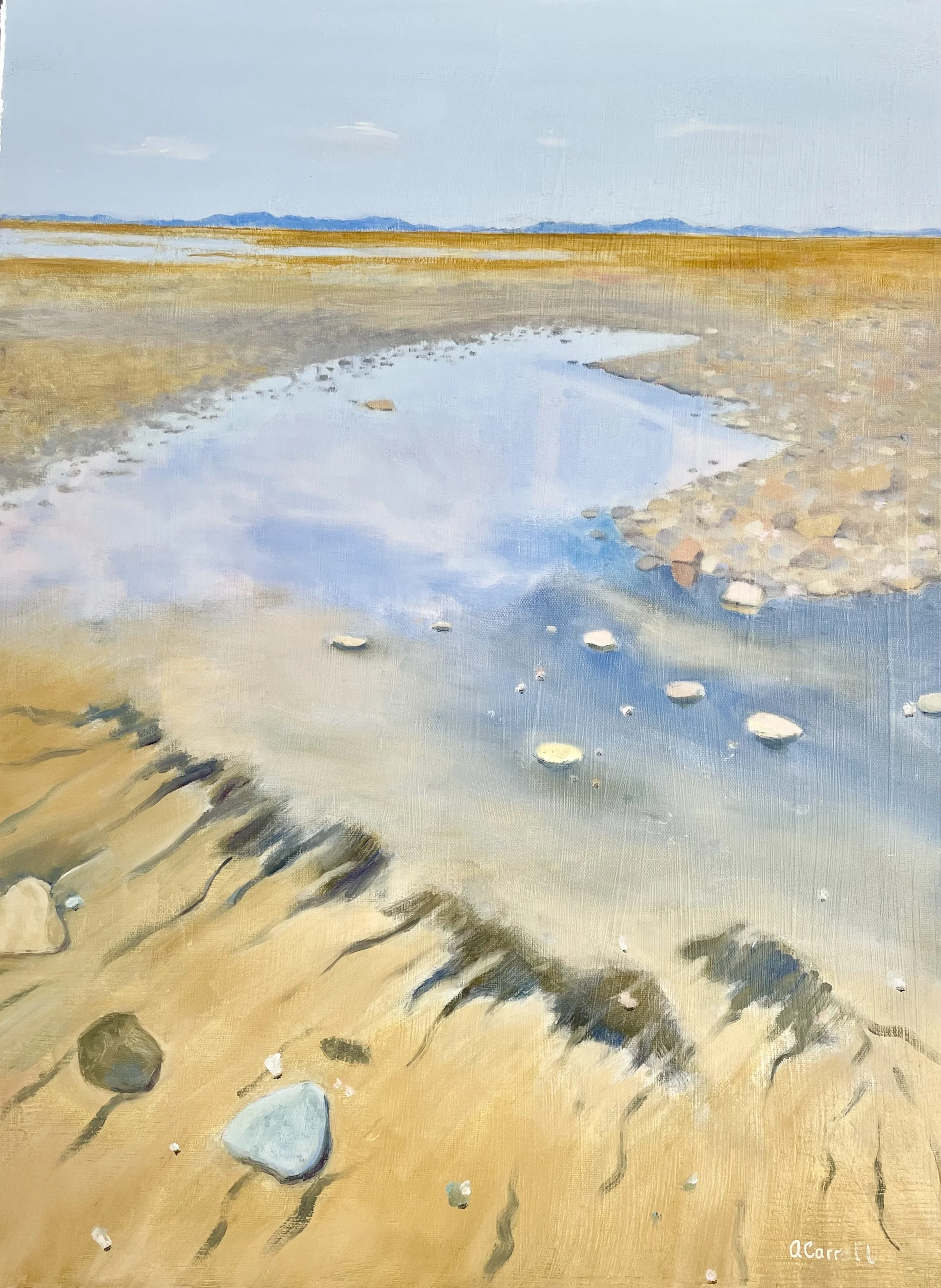 Hornby Island View #1