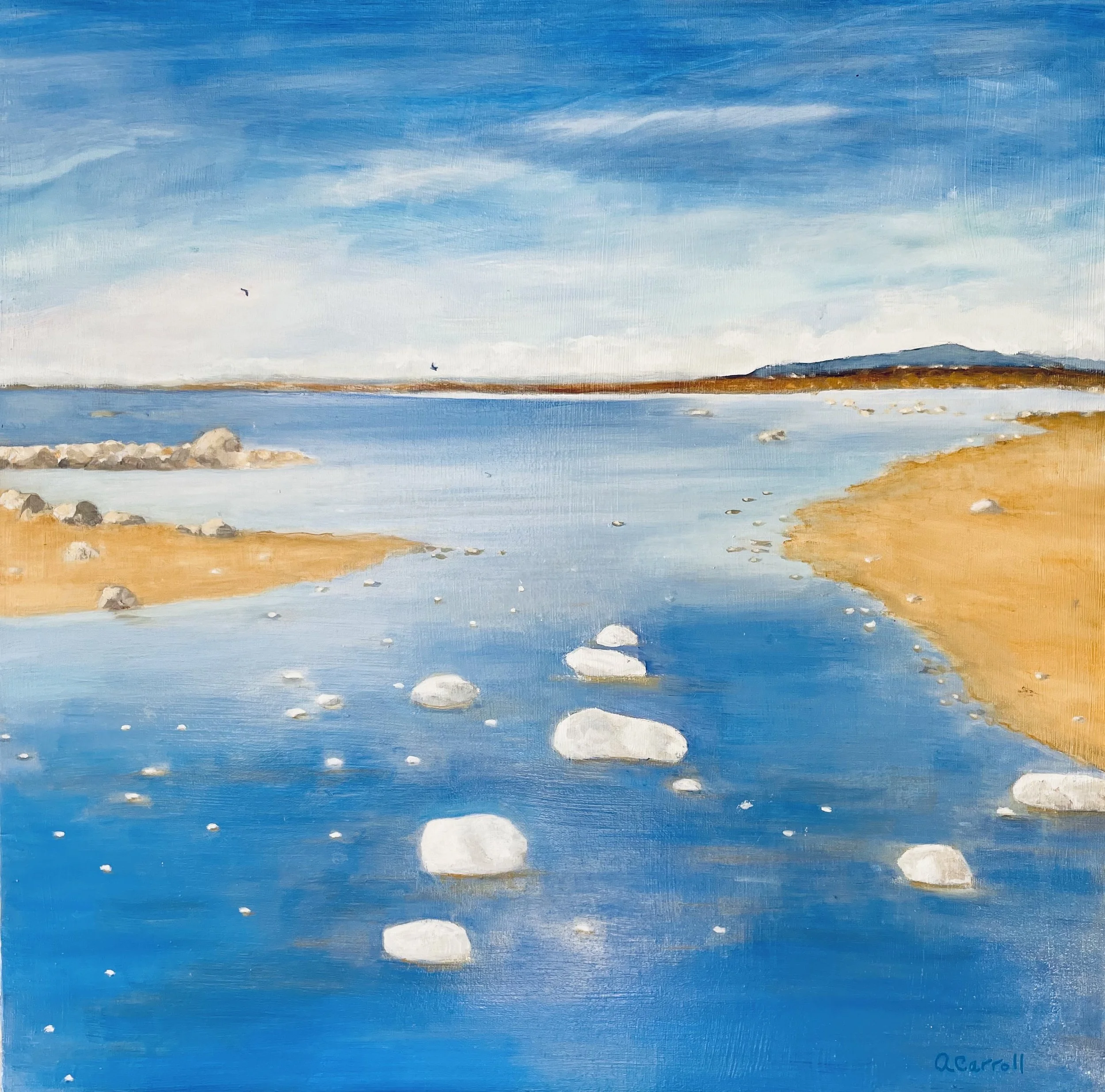 Hornby Island Beach View #2