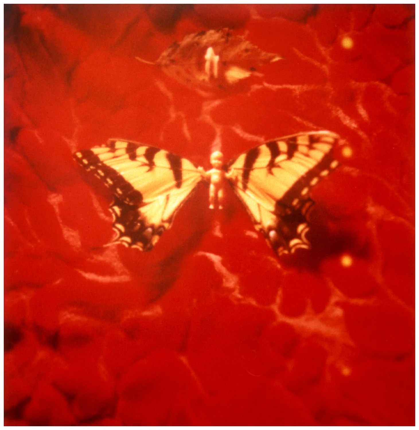  © Christopher B. Herron 