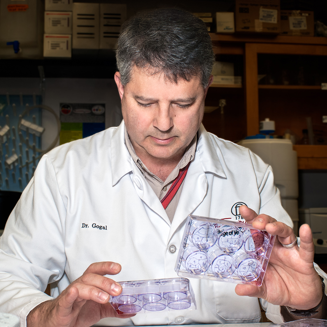 Gogal_Lab_05.jpg