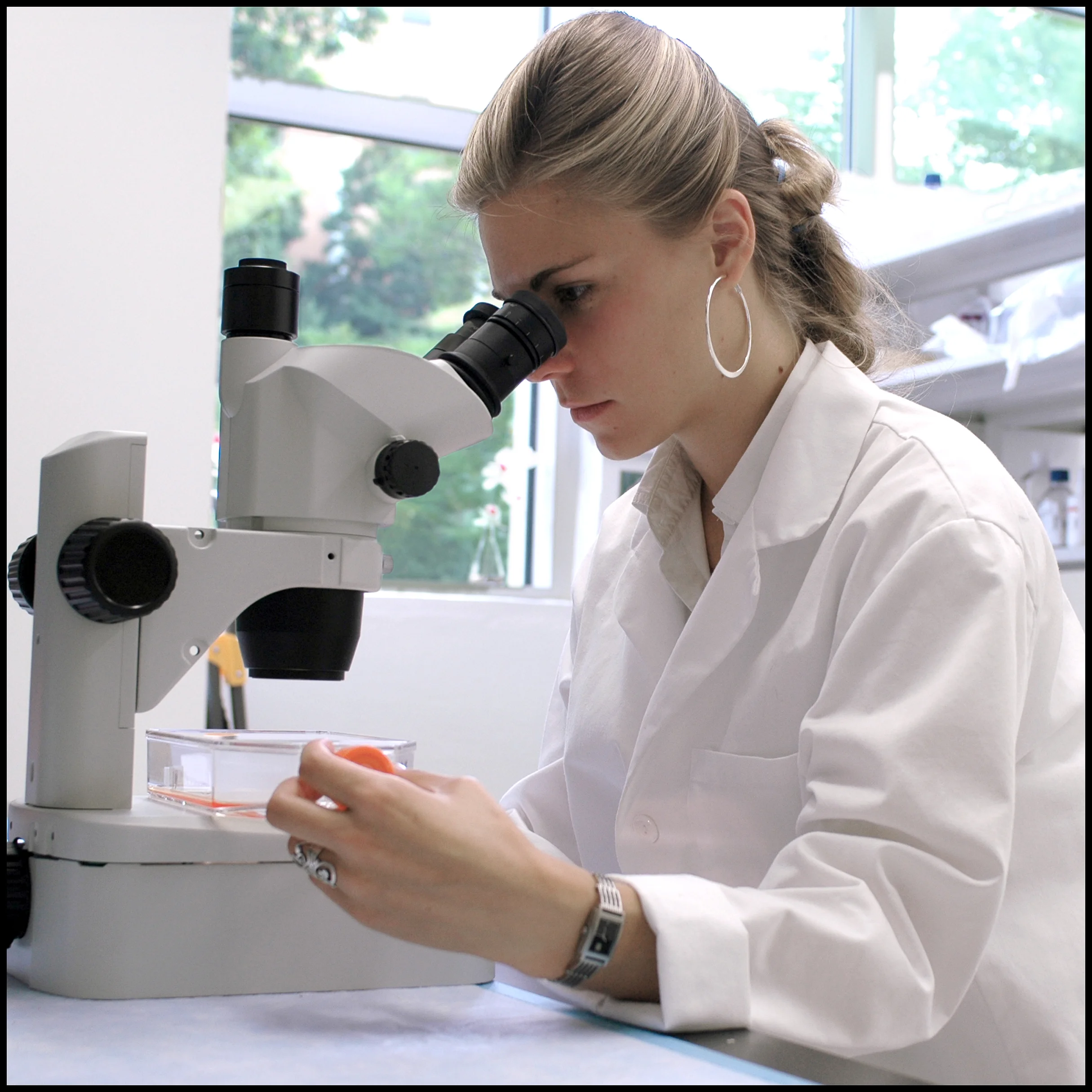 Post Graduate Research