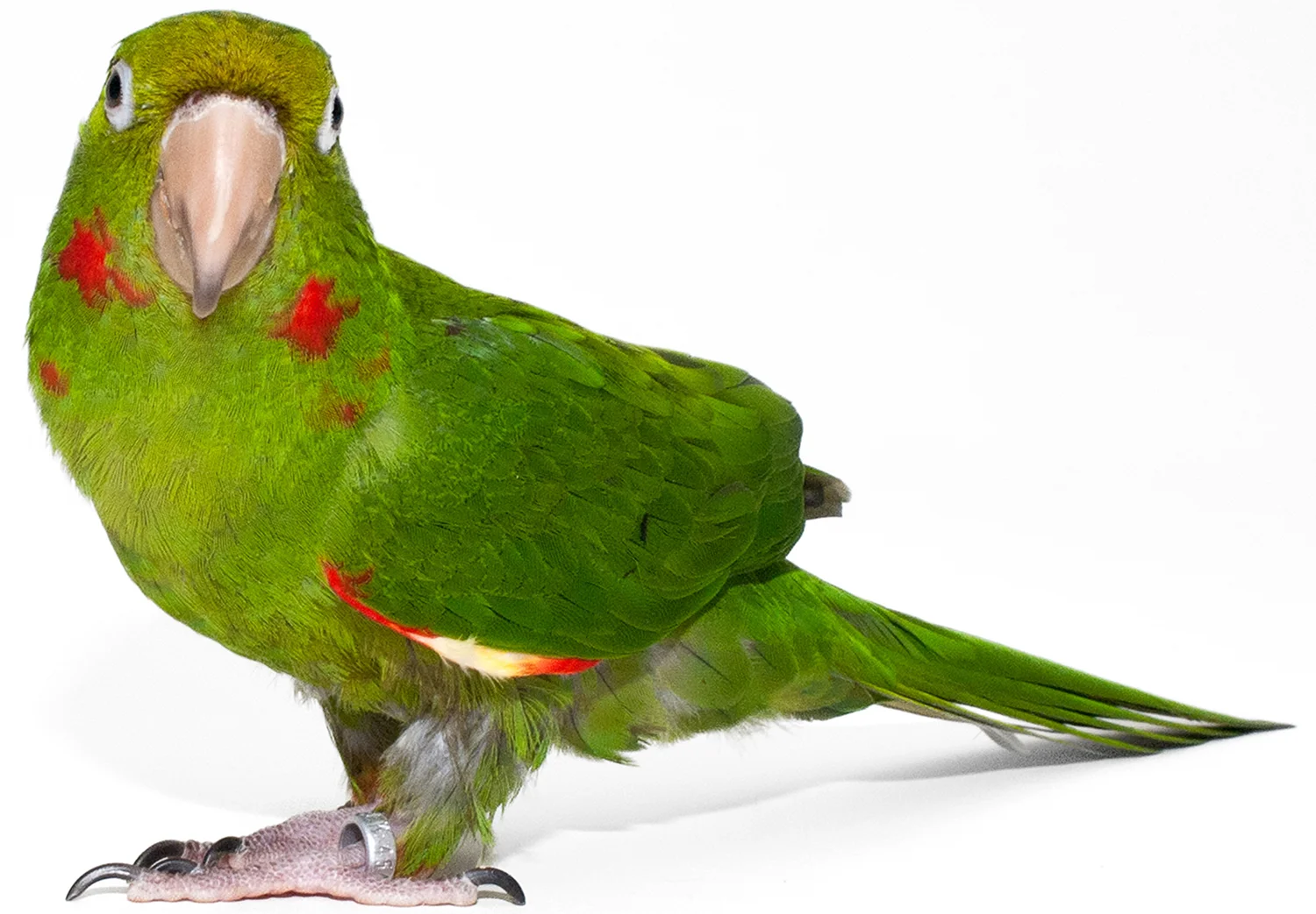  © The University of Georgia 2013 