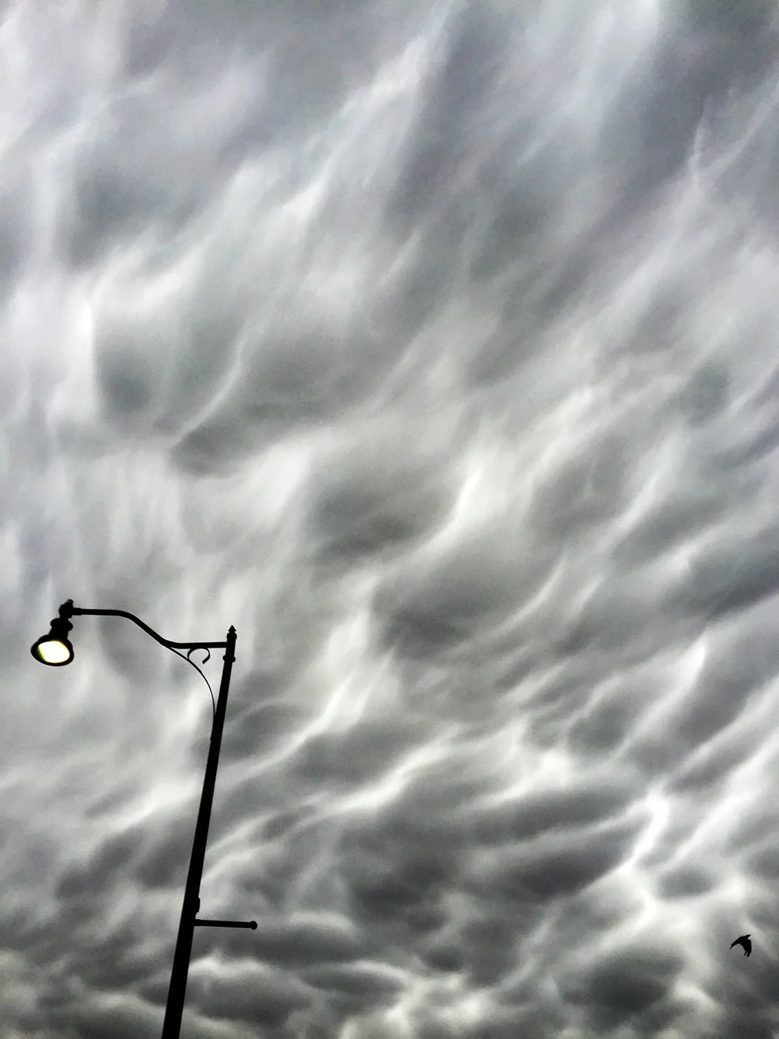 SantaFe_Sky_2015_©CBH.jpg
