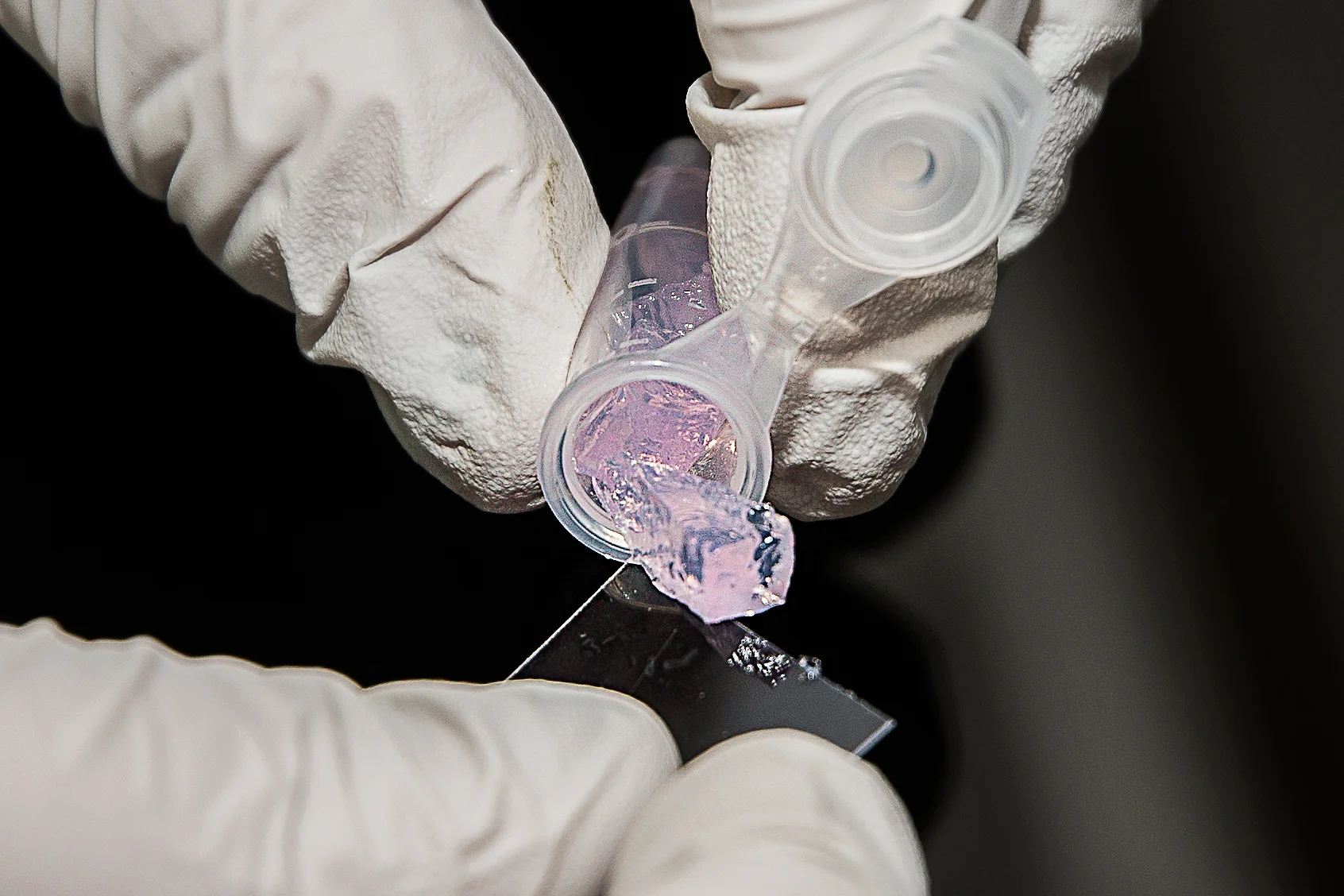 Gel Sample Processing