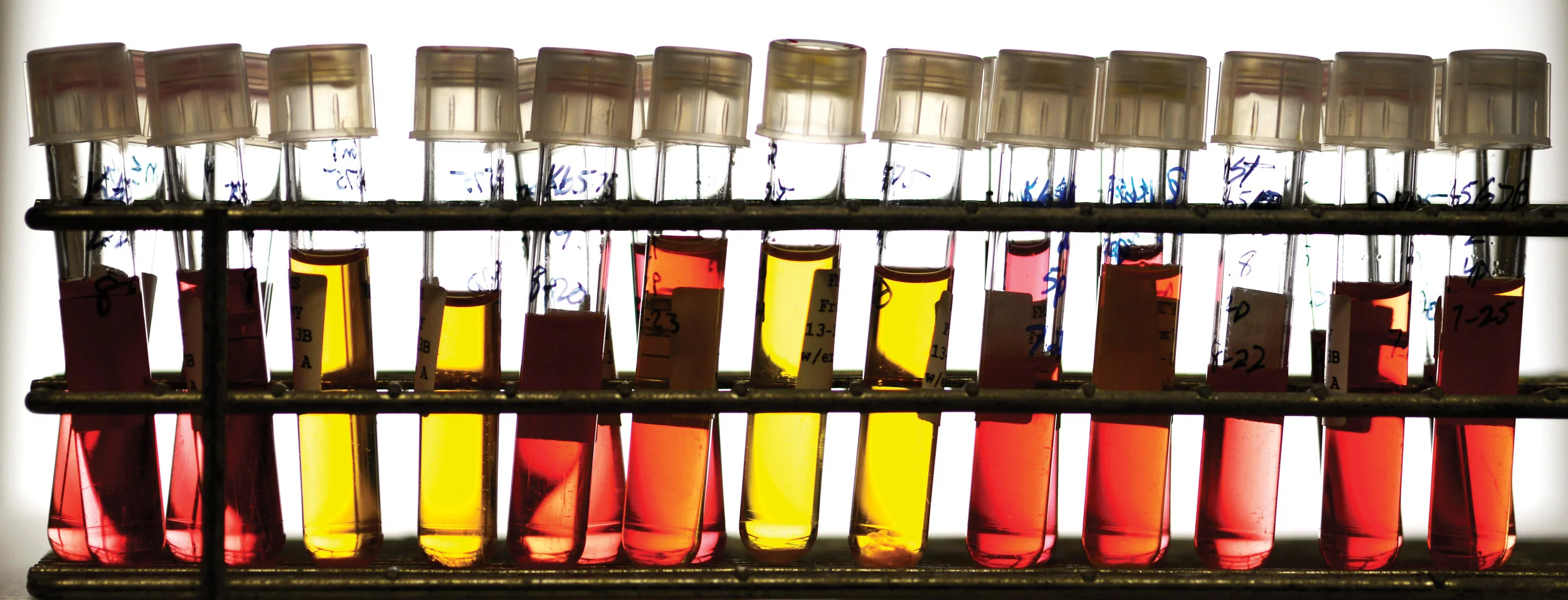 Test Tubes.jpg