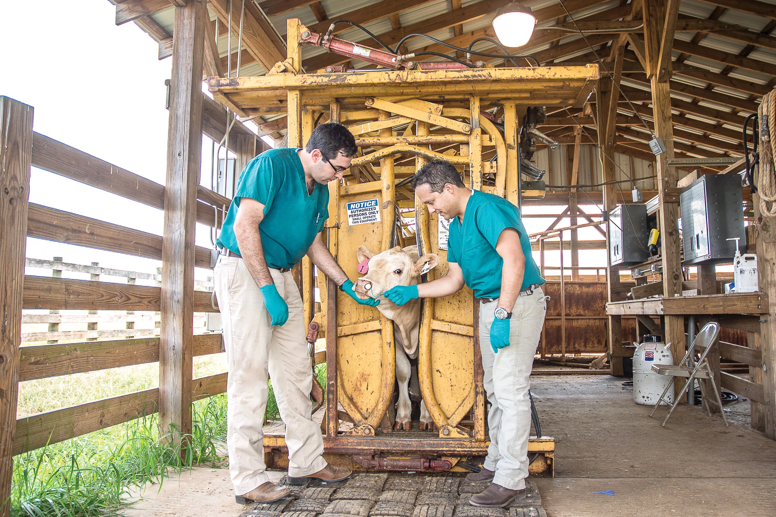 Bovine Nasal Test
