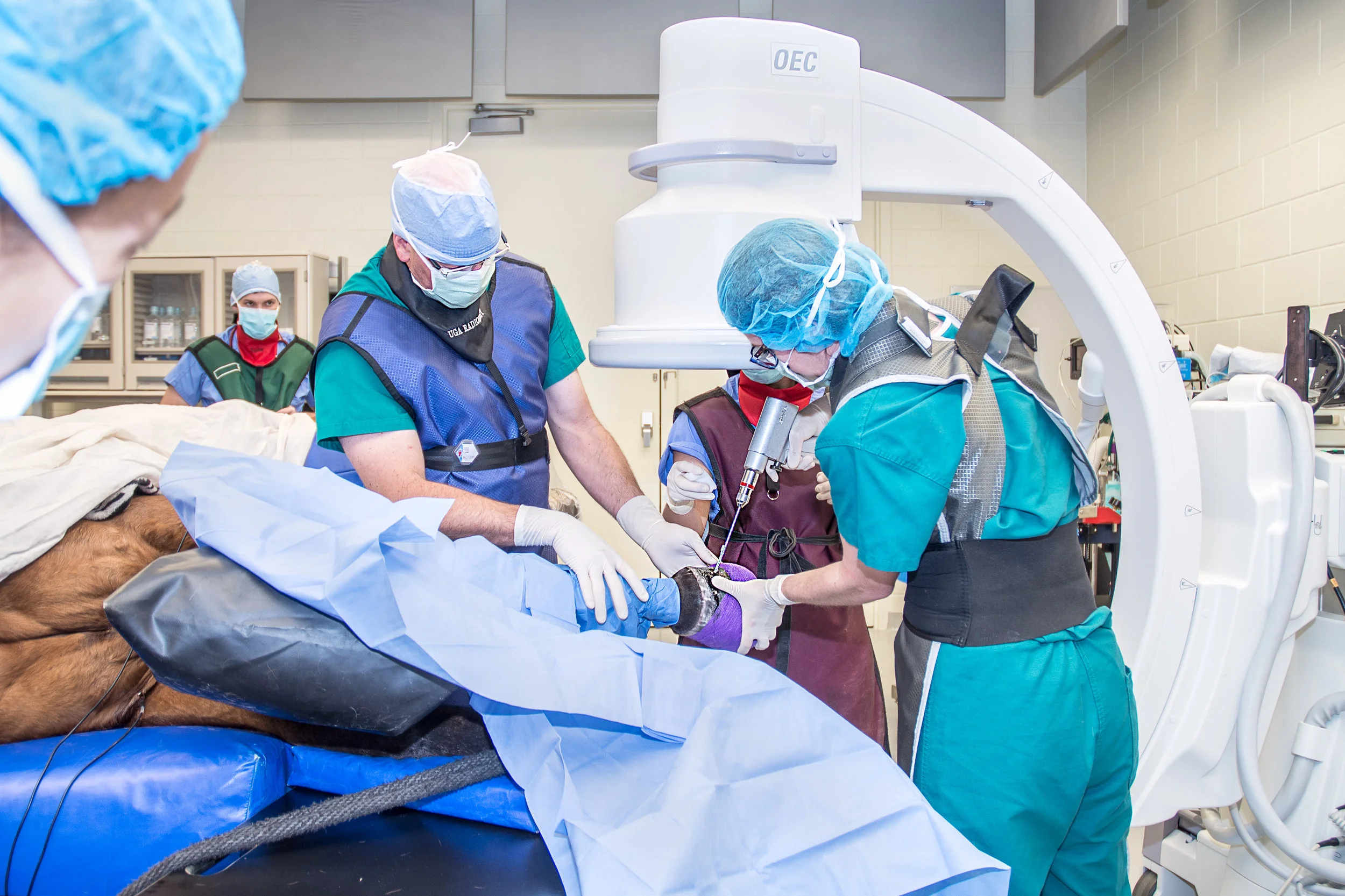 VBDI & LAM_Horse_Leg_C-arm surgery_010.jpg