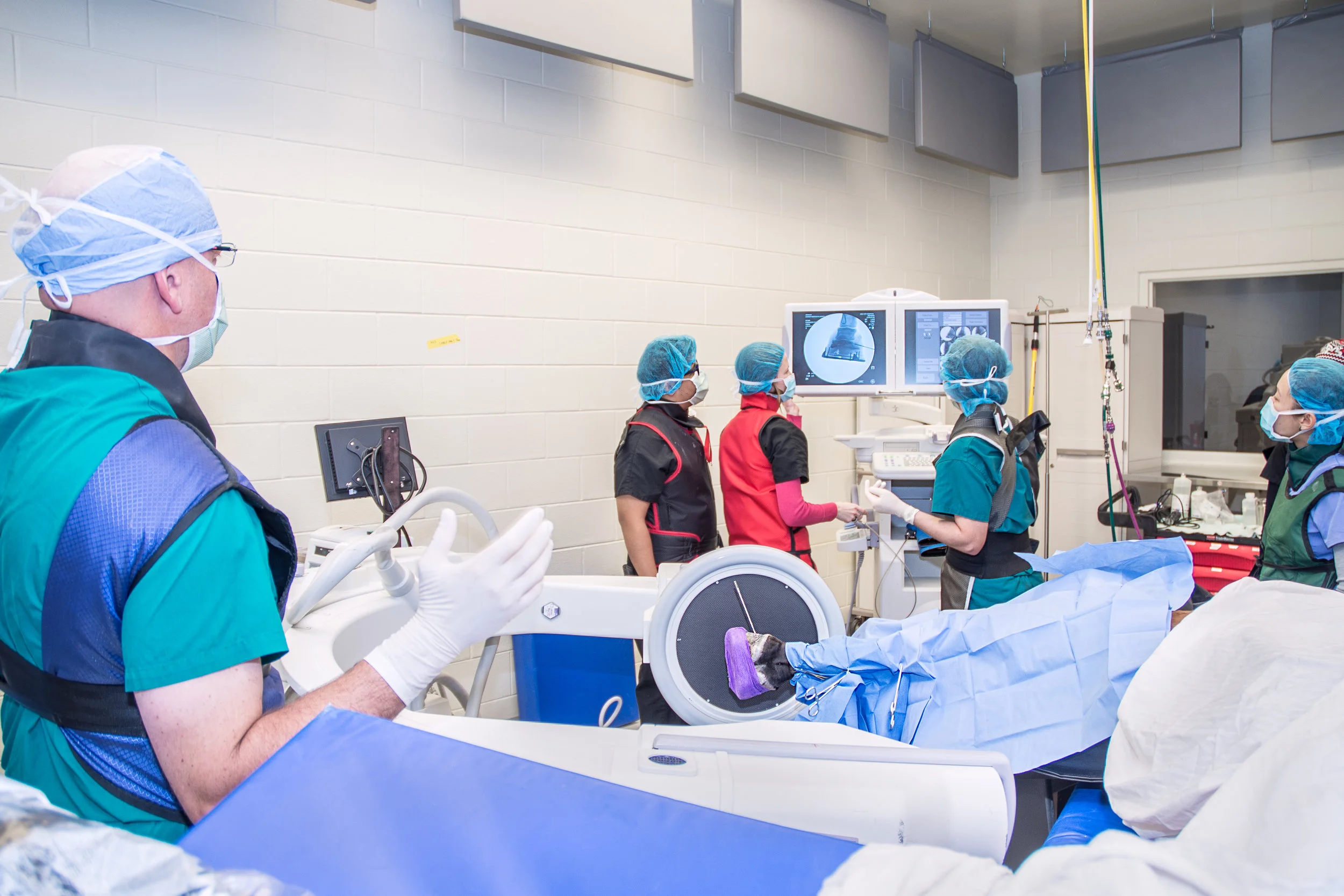 Equine Surgery using C-Arm Radiography