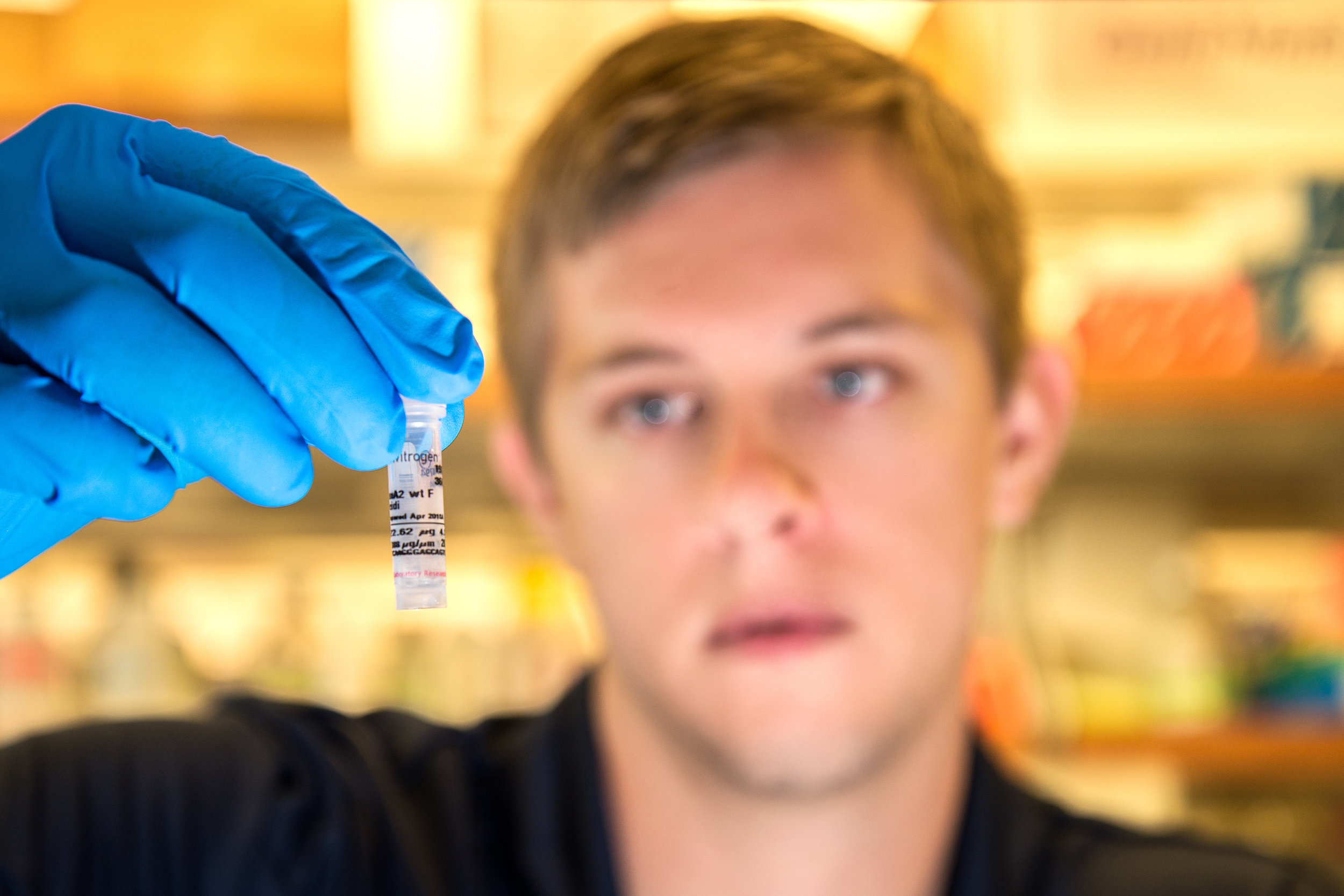 Post Graduate Student Research