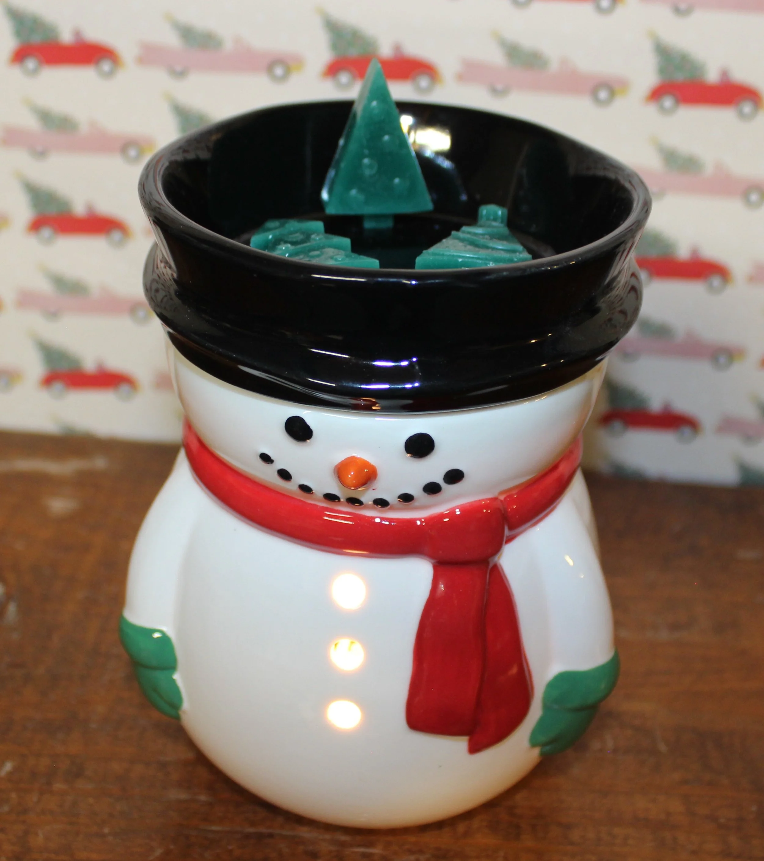 in snowman warmer.JPG