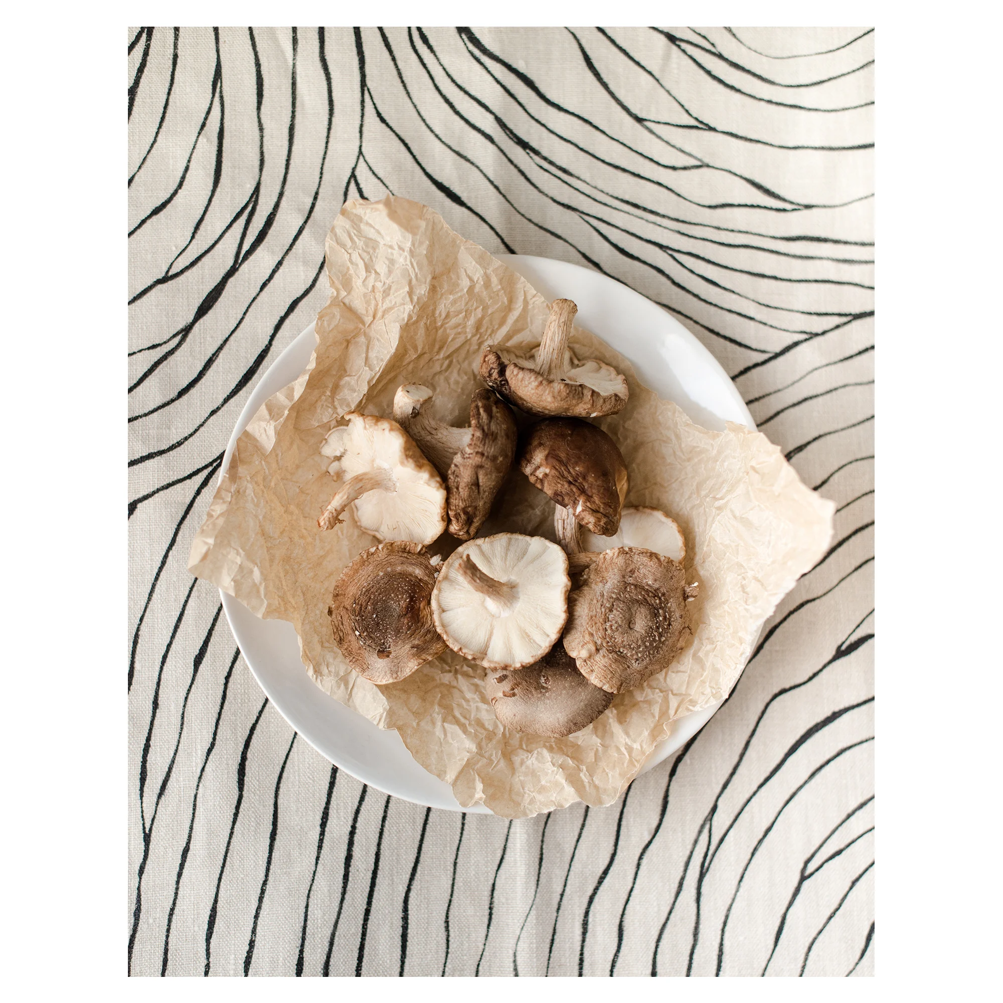 LainaLynn_WaterRipples_Napkin-still-life1.jpg