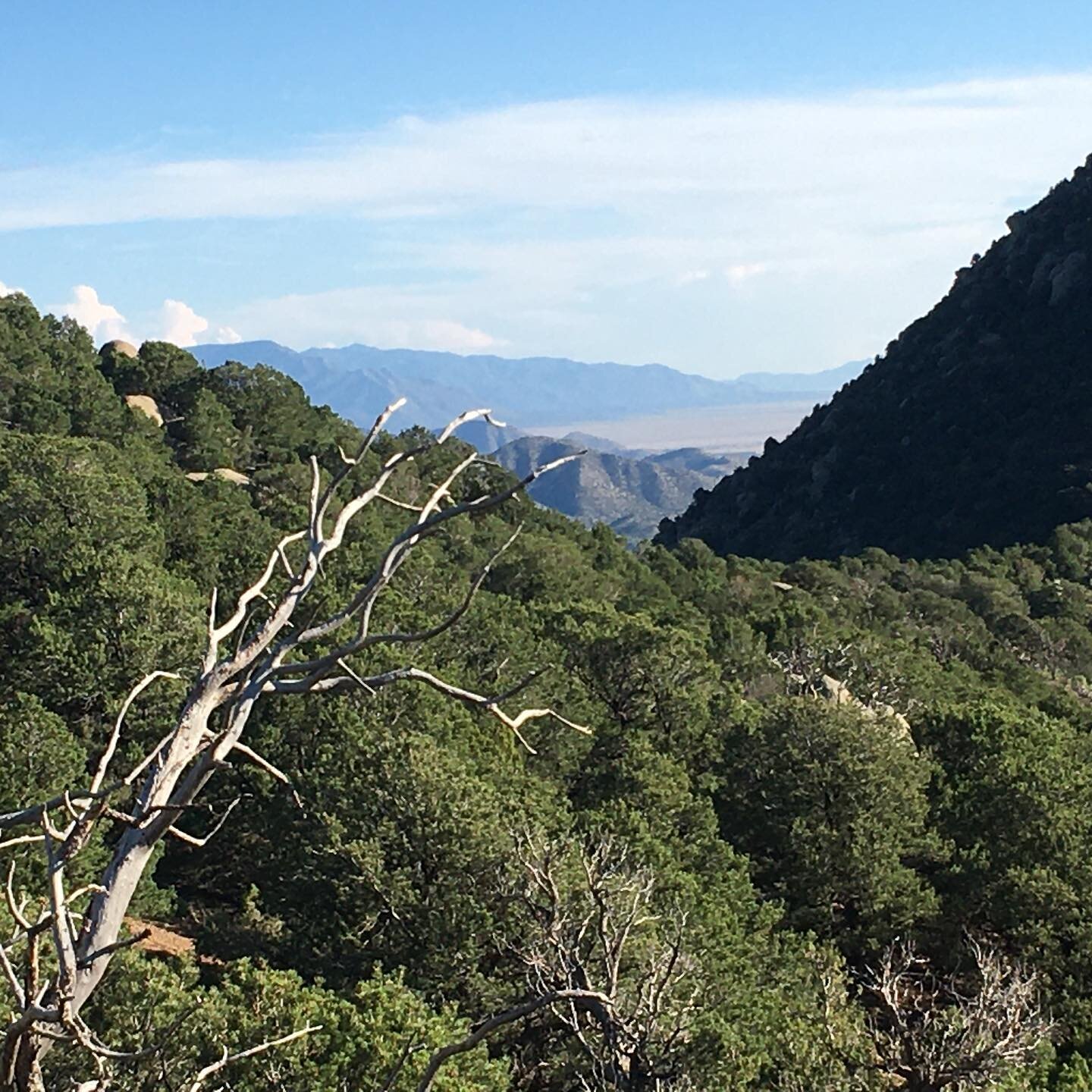 What a way to end a Tuesday&hellip;it wasn&rsquo;t the highest peak or the longest hike but it still feels really good to get to the top of the mountain and look over the other side 😊 And then top it off with a NM sunset on the decent 
.
.
#nmskies 