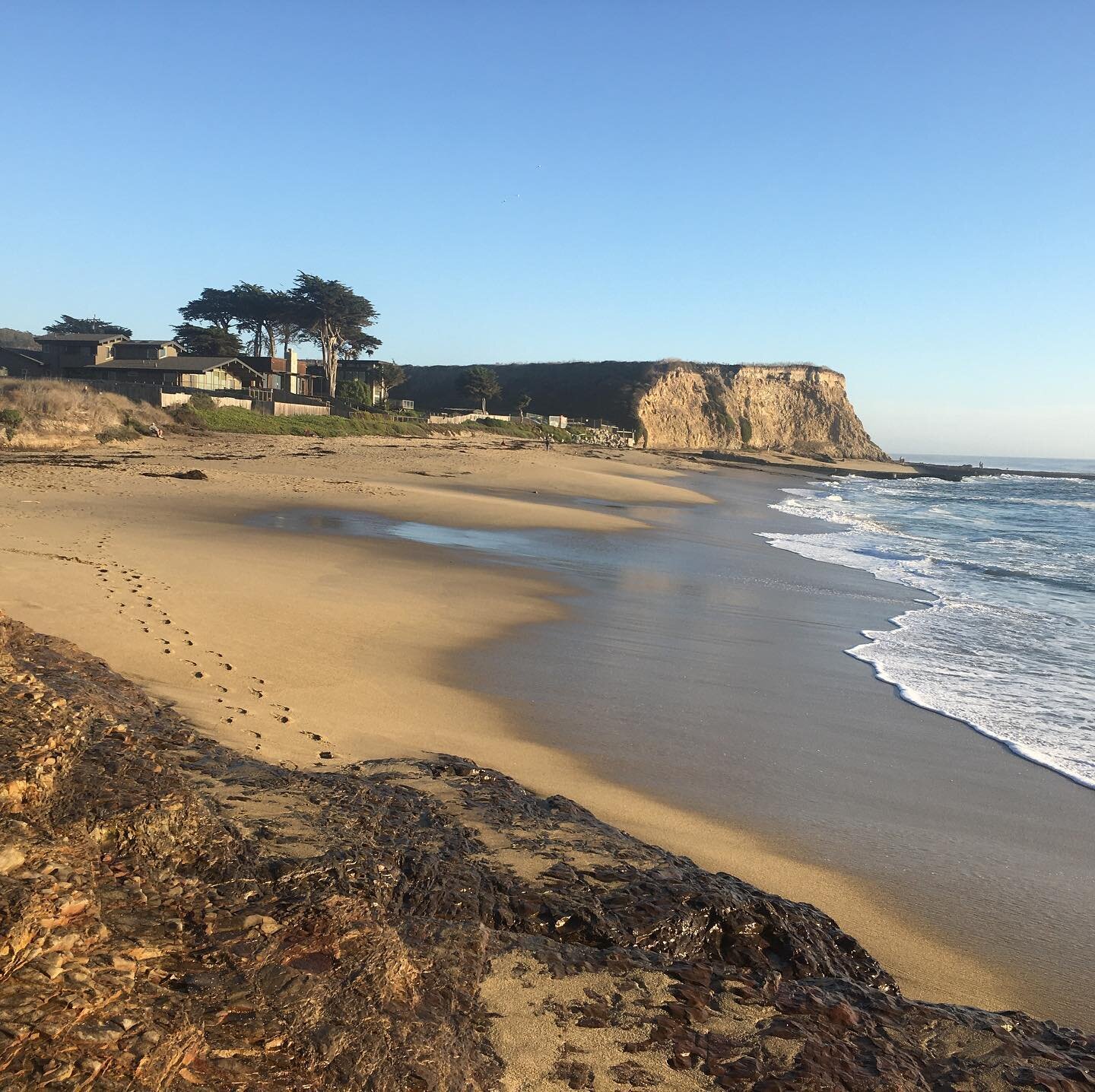 Remembering one of Niko&rsquo;s favorite places on this Earth Day, which he celebrated every day.
.
.
#livelikeniko #davenportlanding #santacruz #surfing #sustainability #plasticfreeforthesea #lovetheearth