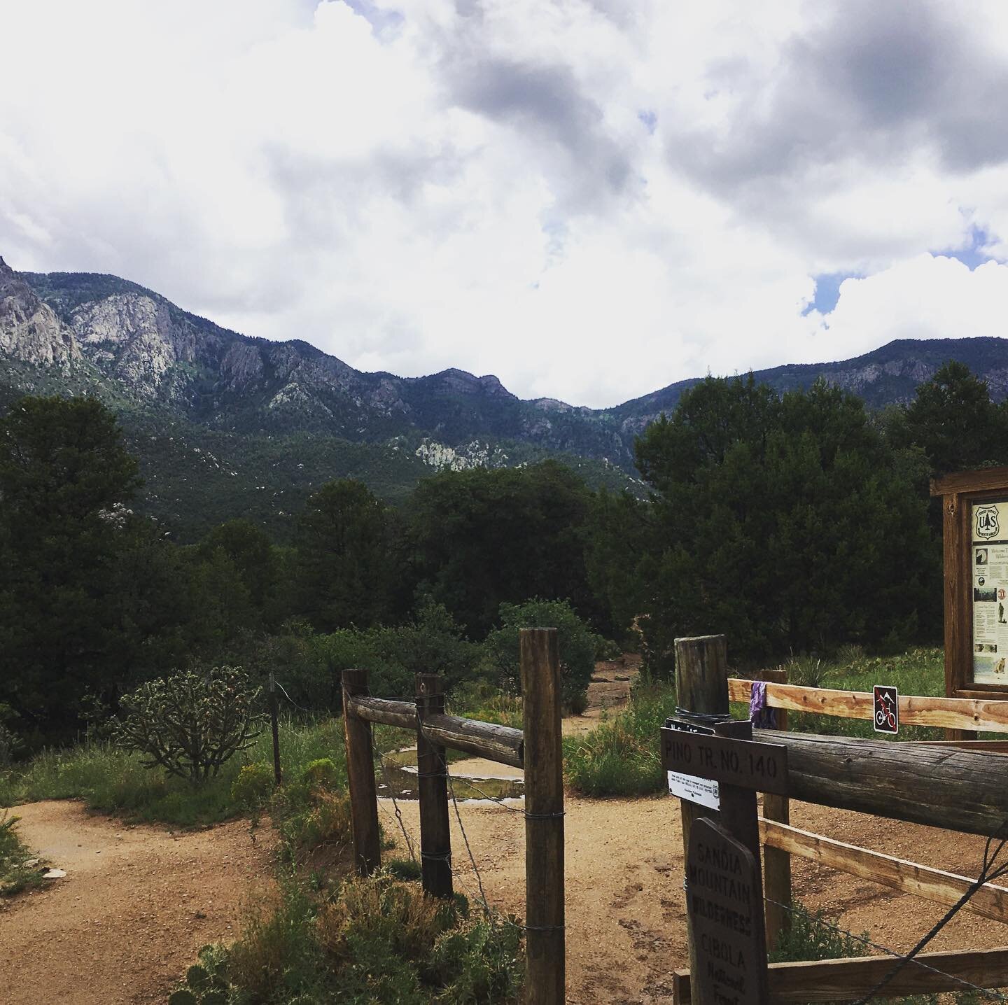 Finally made it to the top of Pino last weekend! Beautiful cloudy, rainy day with so many flowers, fungi, and birds to enjoy along the way. One of my favorite trails in Albuquerque ♥️
.
.
#hikenewmexico #topofthemountain #getoutside #explore #