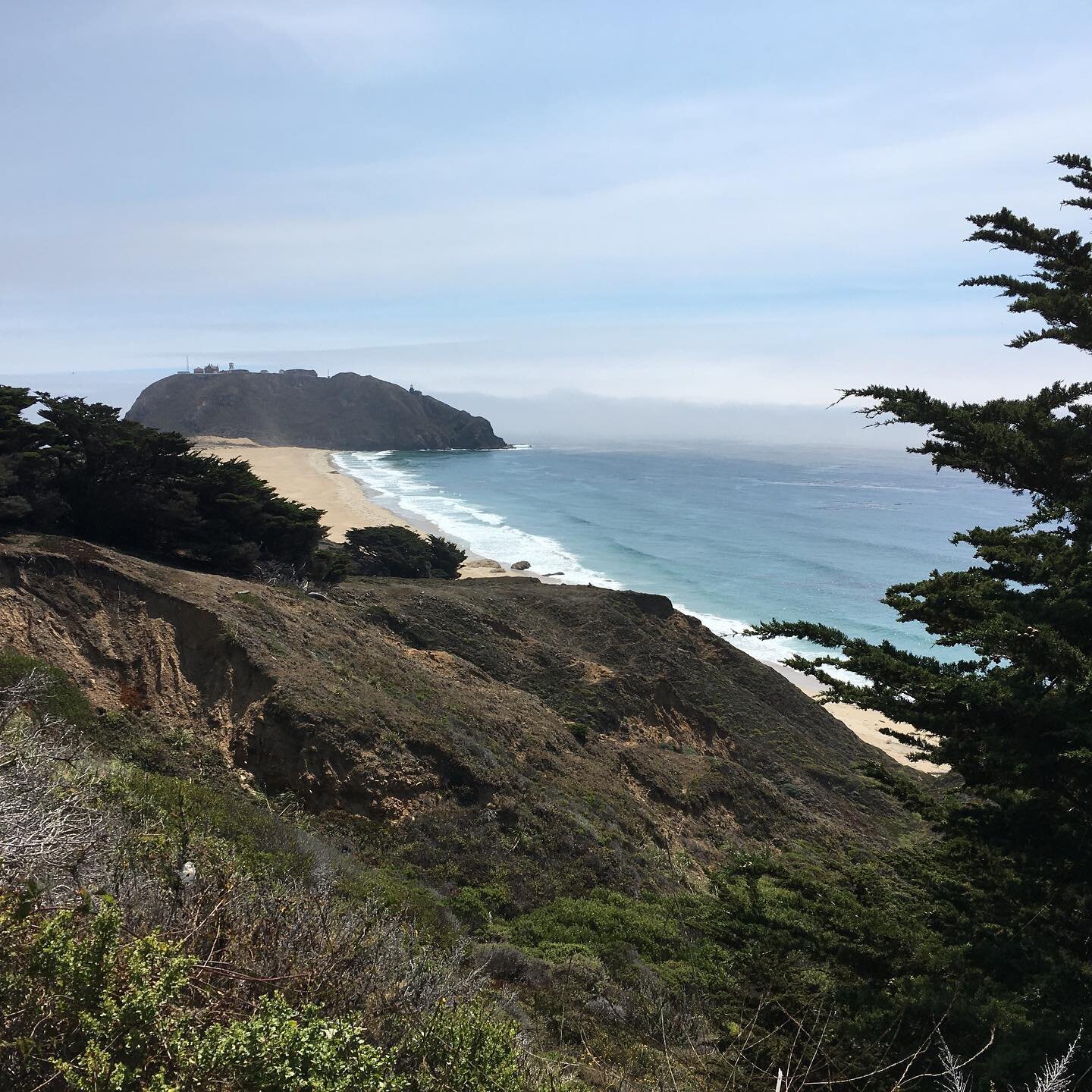 Road trip up the California coast. Found this gem for a beach break and picnic
.
.
#roadtrip #pacificcoasthighway #beachvibes #loveafoggyday #kelp #explore
