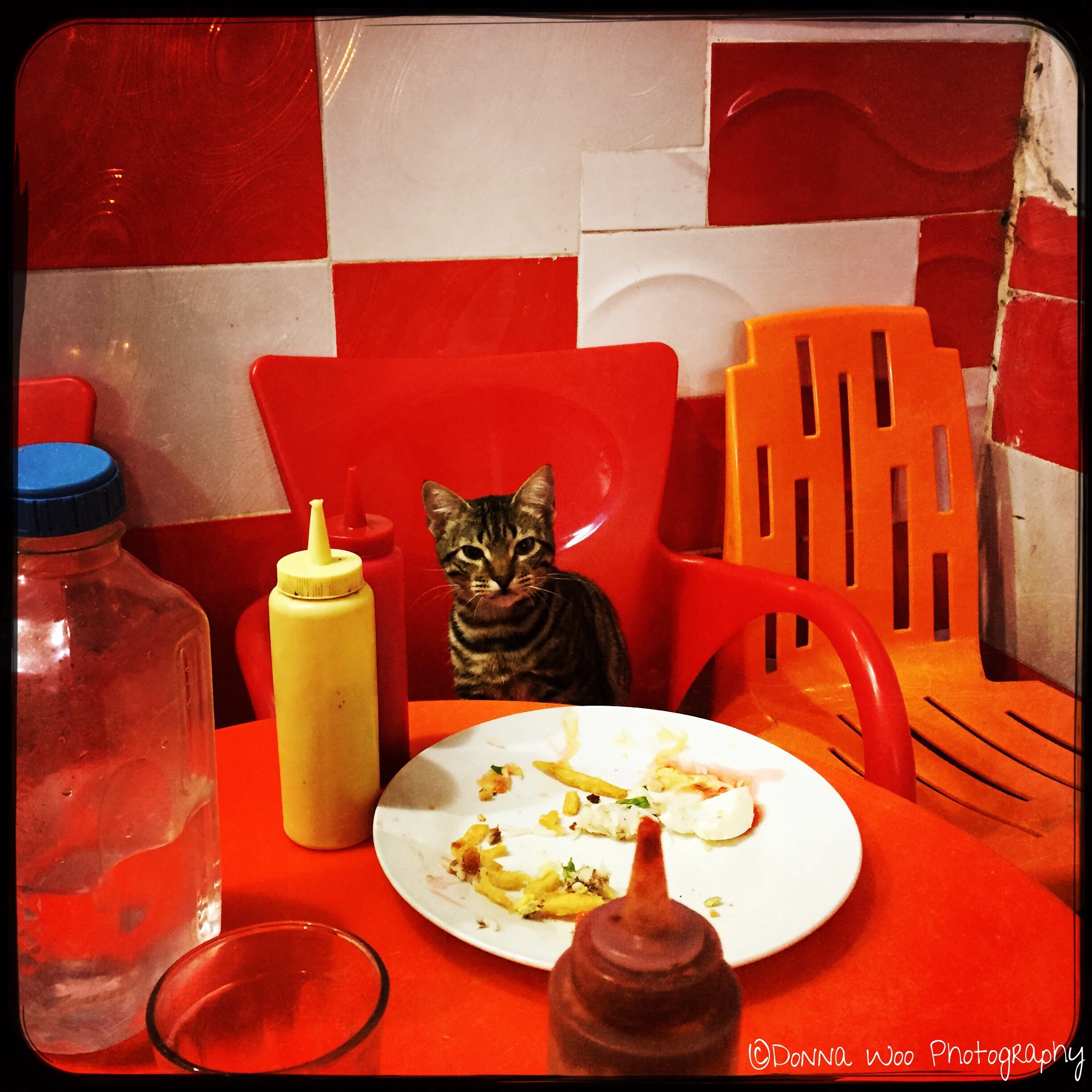  Date with a Kitty Cat 
