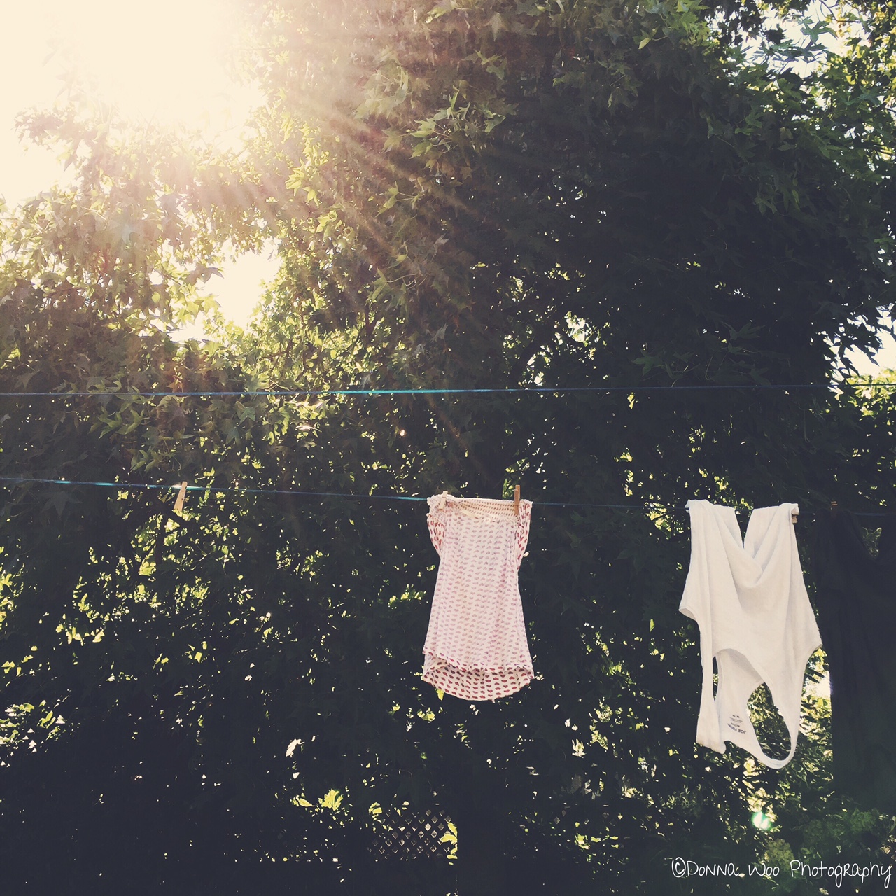 Laundry day 