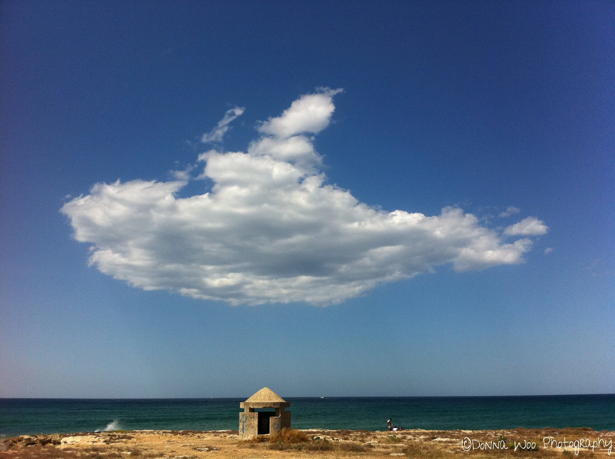  Is it a submarine?  A whale?  A boat? 