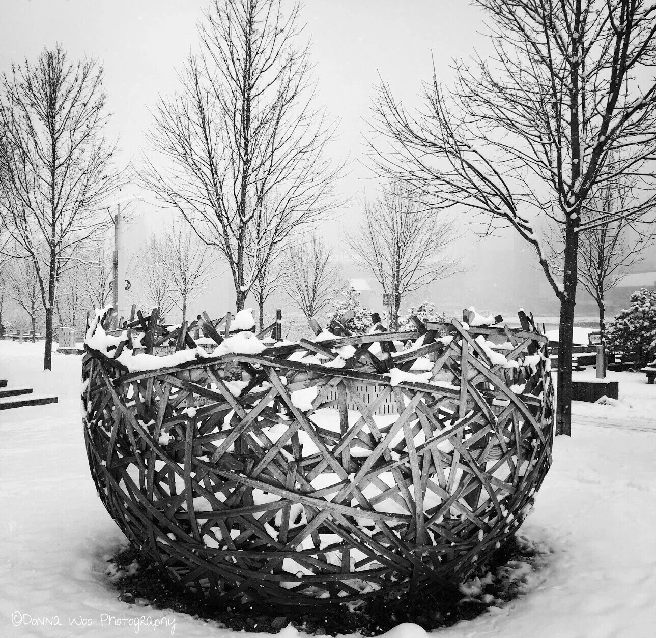 final(2) copy 3.jpg