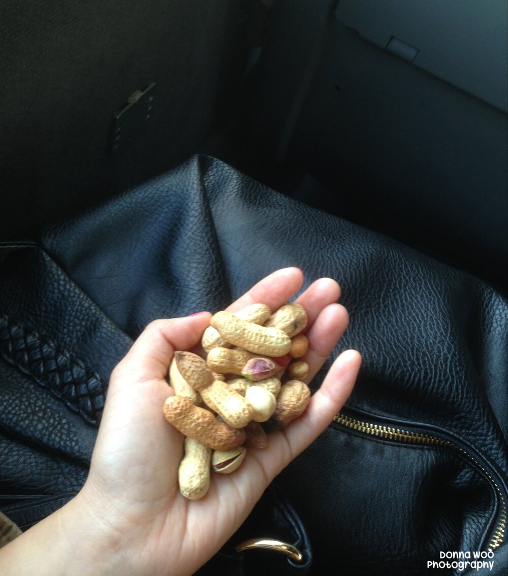  A nice Moroccan elderly lady offered me some peanuts after seeing how depressed and emo I looked, hiding in my hood and staring out the window with teary eyes.  November 2014.  Somewhere in northern Morocco 