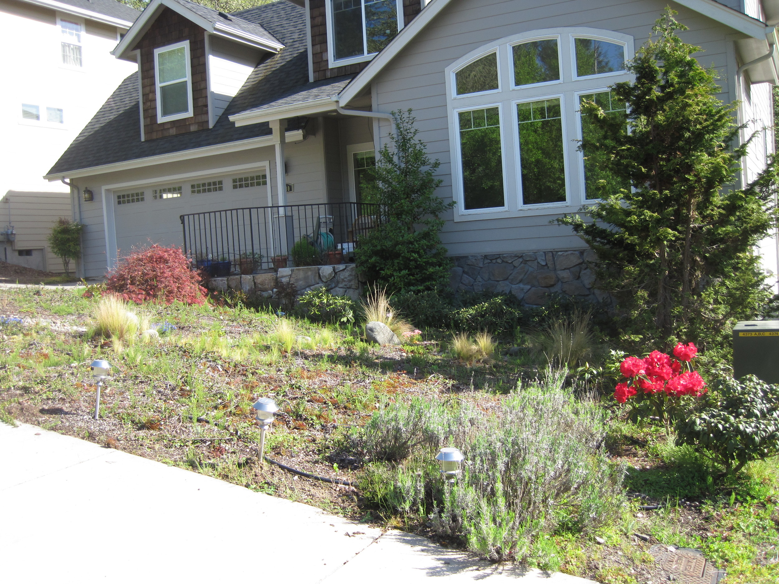  Before: low, sparse plantings were overwhelmed by the facade of the house and the driveway. 
