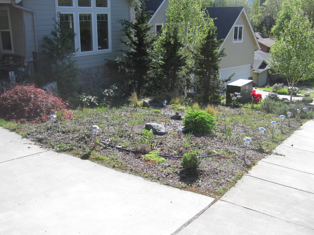  Before: a lack of height and interest made the planting bed feel both cramped and exposed. 