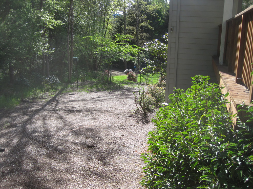  Before: a true blank slate, this empty yard lacked form, focus and screening. 